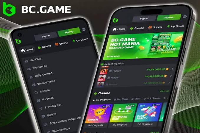 Exploring BC.Game Casino and Sportsbook Your Hub for Online Gaming